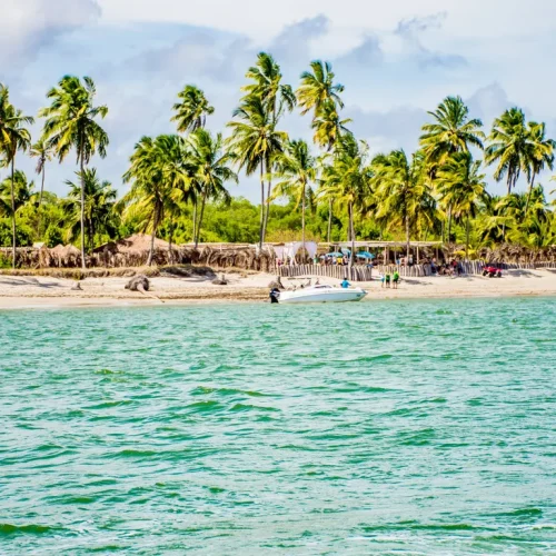 1651060229659ca22a7ab153.93373541