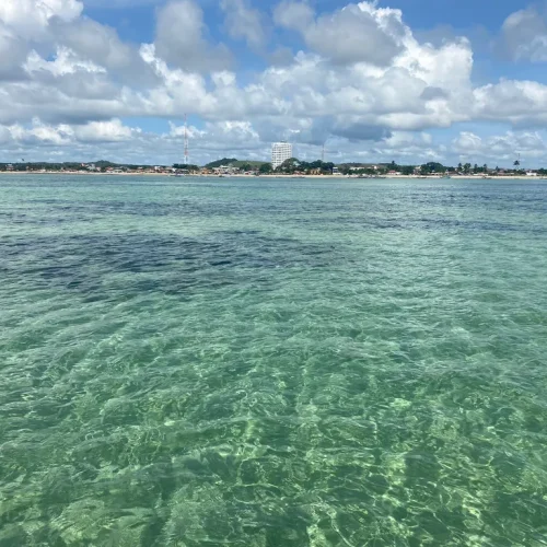 202221570365dce70e8fe024.14416106