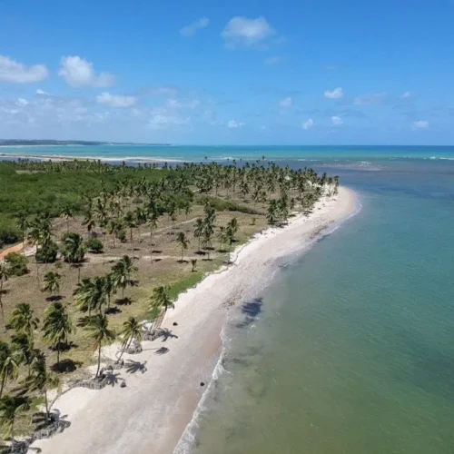 20880991506011da766f95e3.13273130