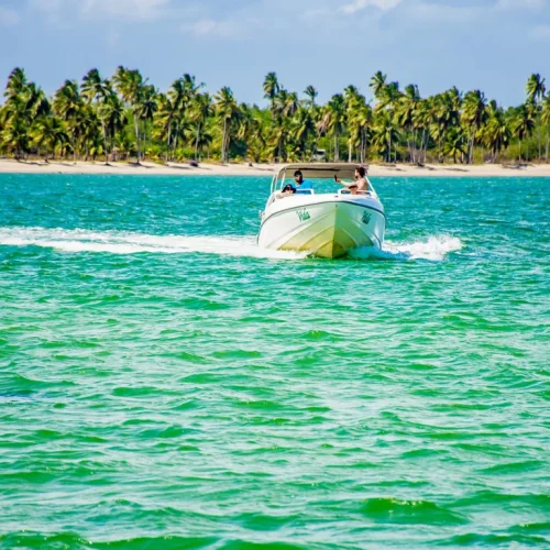 212516896665a03e08e16c91.37805040