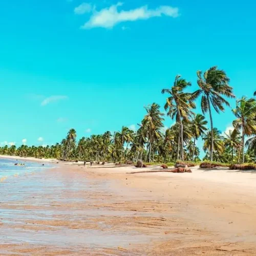 257627991659ca25c1c1da6.54202320