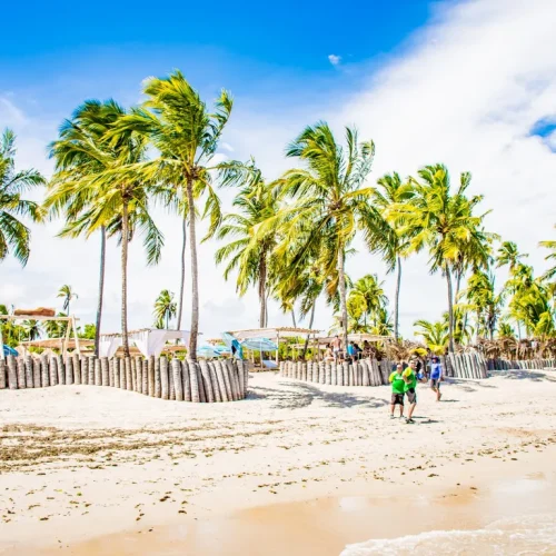 701857106659ca23c683f07.95586408