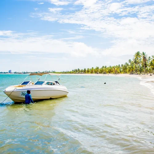 70247399165a03de23789b2.75167238