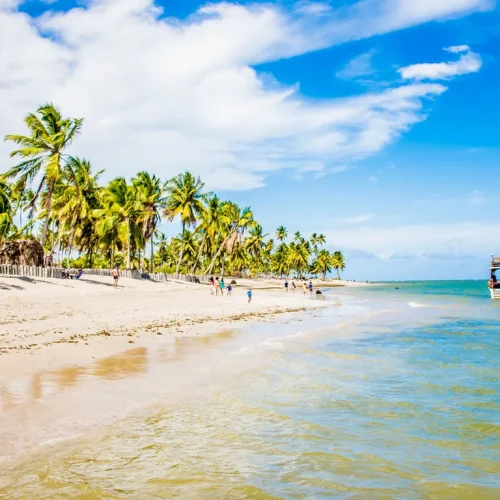 84871747659ca236730975.85137292