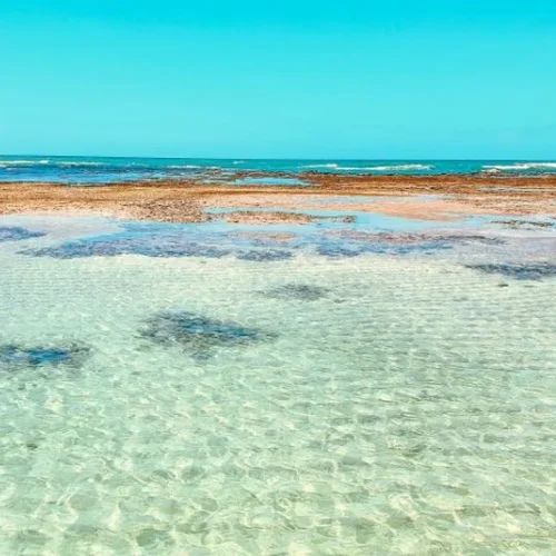 969552882659ca25cb5db17.35410848